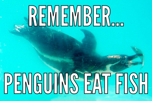 gotham PENGUINS EAT FISH